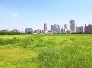 高齢者施設建設に最適な土地のイメージ